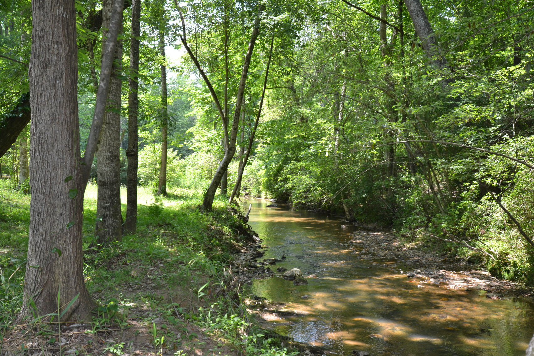 Image for Woodland, AL 3 Homes ~ Large Shop 4+/- acres