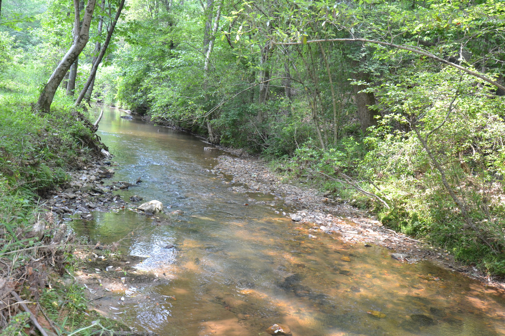 Image for Woodland, AL 3 Homes ~ Large Shop 4+/- acres