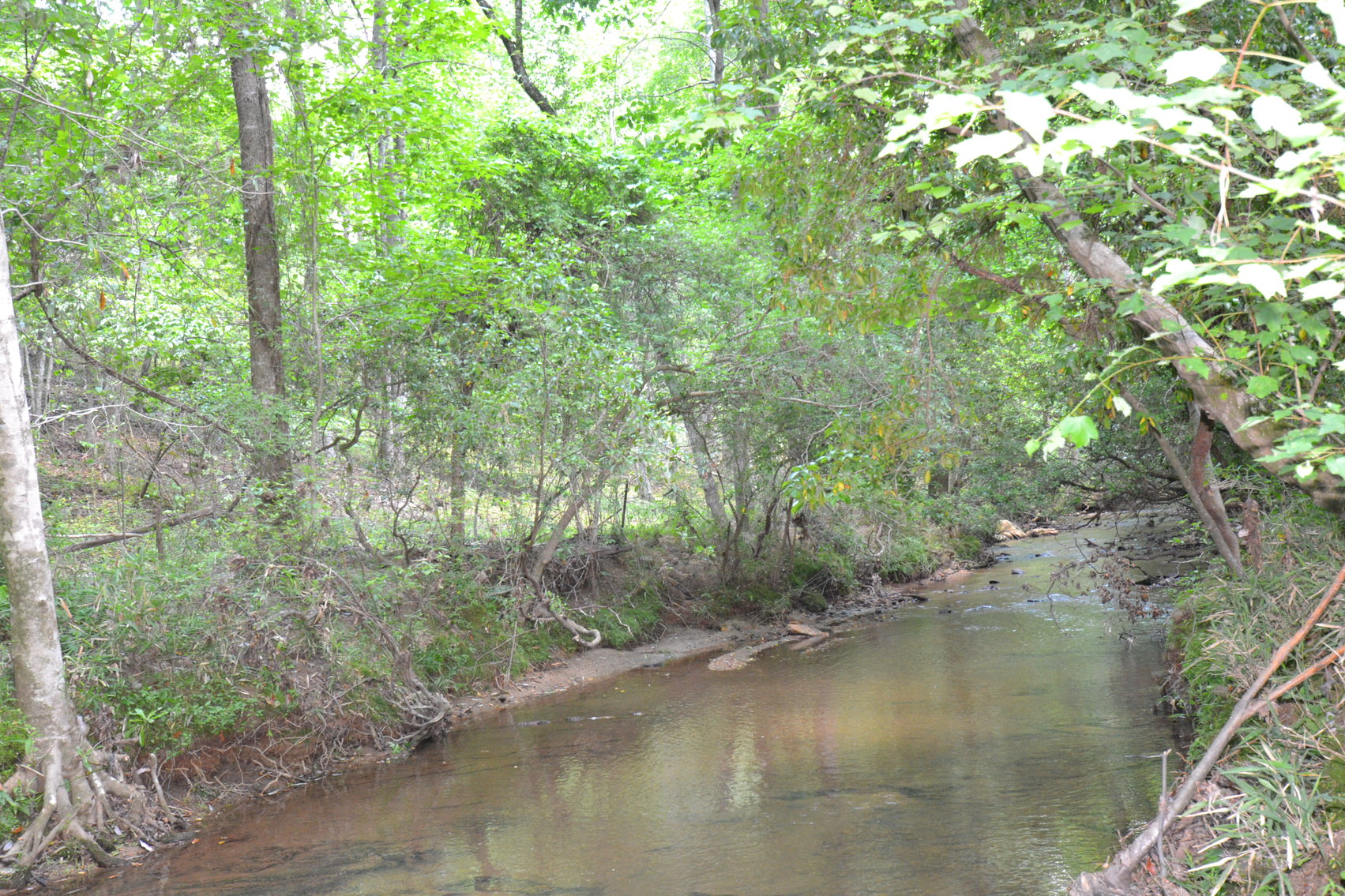 Image for Woodland, AL 3 Homes ~ Large Shop 4+/- acres