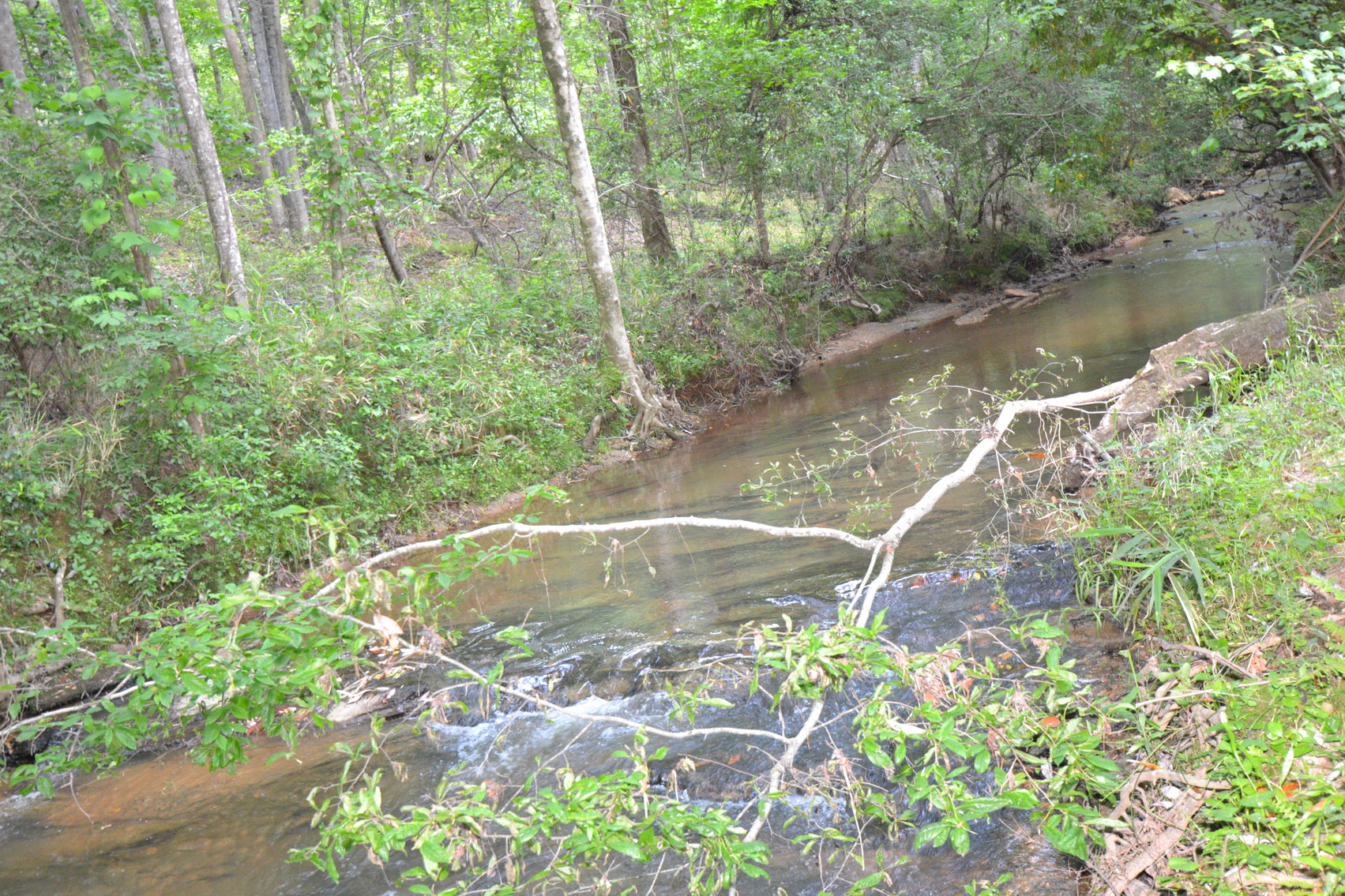 Image for Woodland, AL 3 Homes ~ Large Shop 4+/- acres