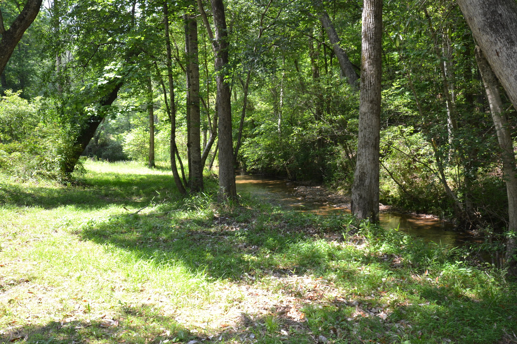 Image for Woodland, AL 3 Homes ~ Large Shop 4+/- acres