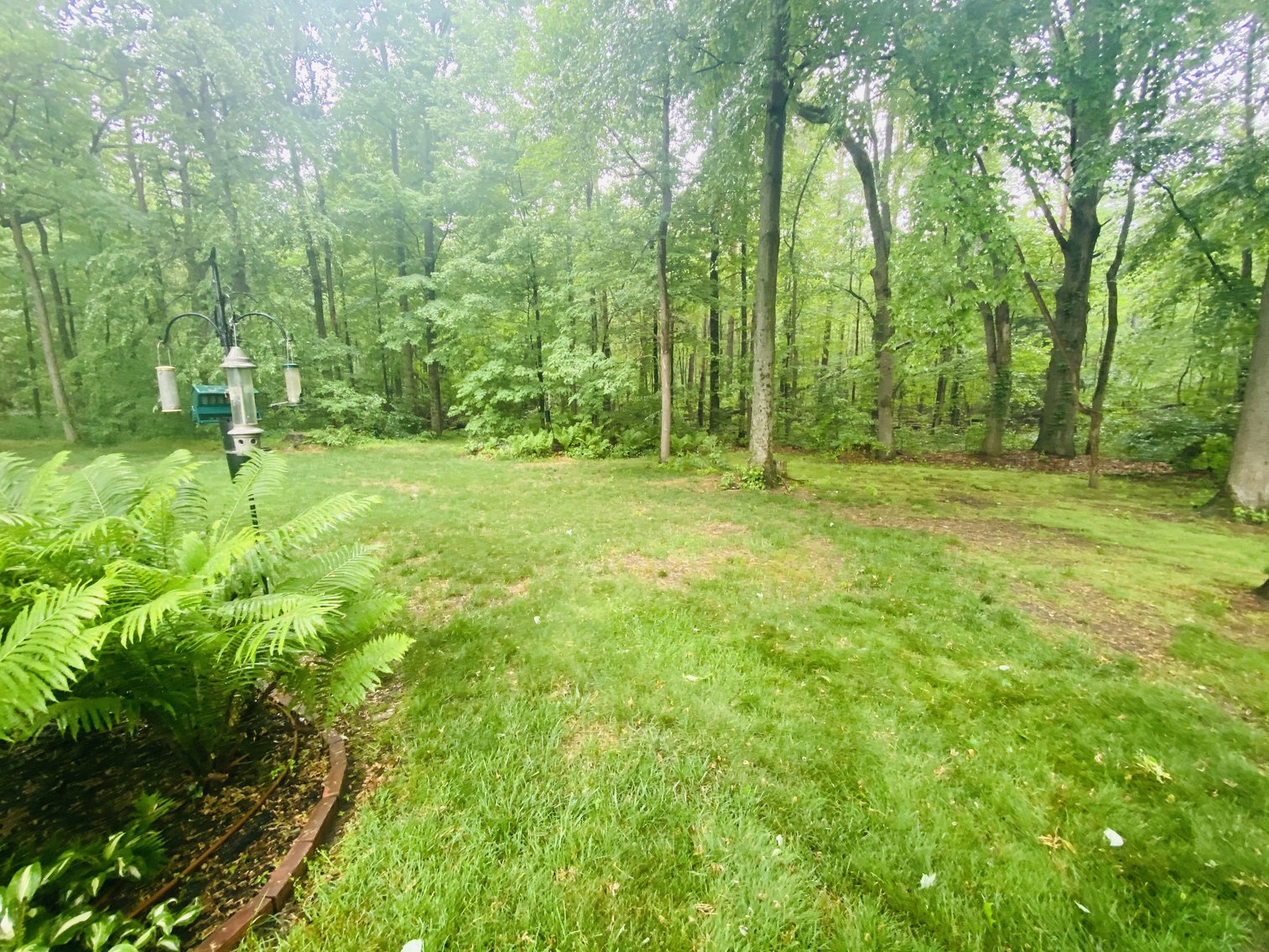 Image for 5964 Wildwood Lane, Whitehouse, Ohio 43571