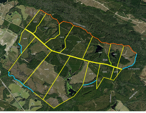Image for MAY AUCTION RESULTS