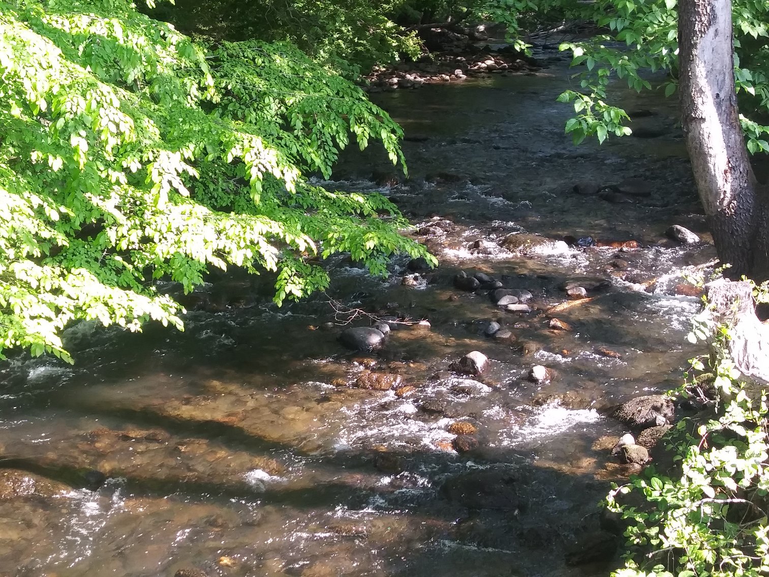 Image for MILLSTONE AUCTION, BIG ISLAND VA