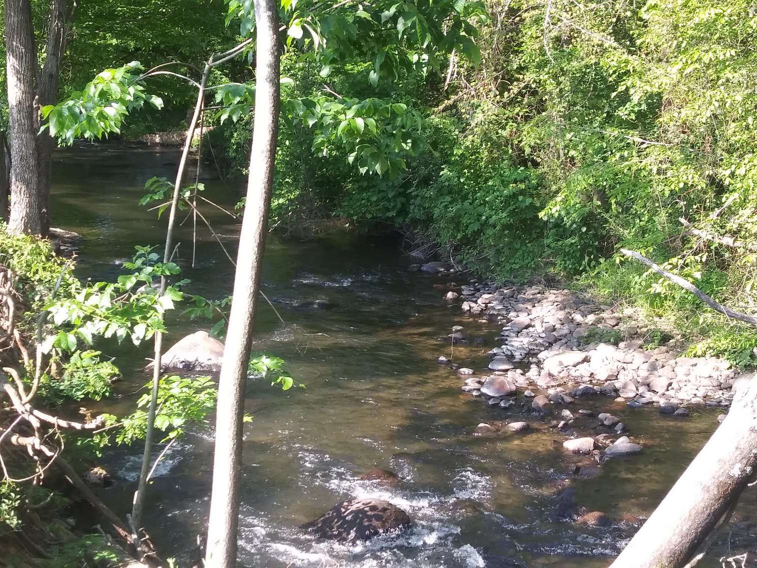 Image for MILLSTONE AUCTION, BIG ISLAND VA