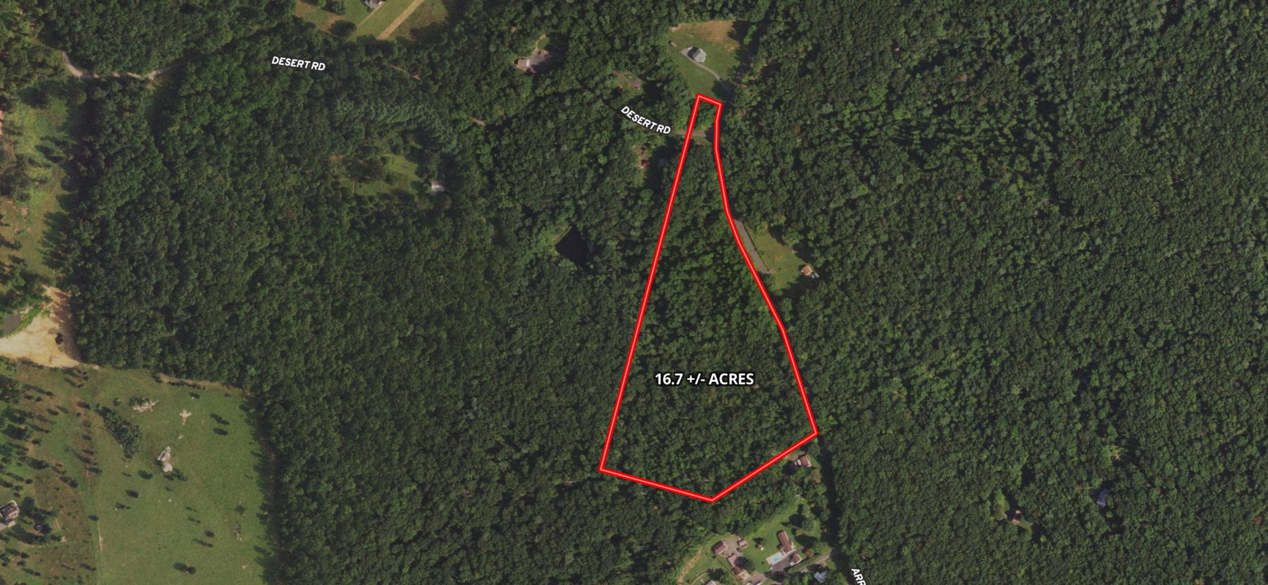 Image for 16.7 +/- Acres of Wooded Land in Madison County, VA--SELLS to the HIGHEST BIDDER!!