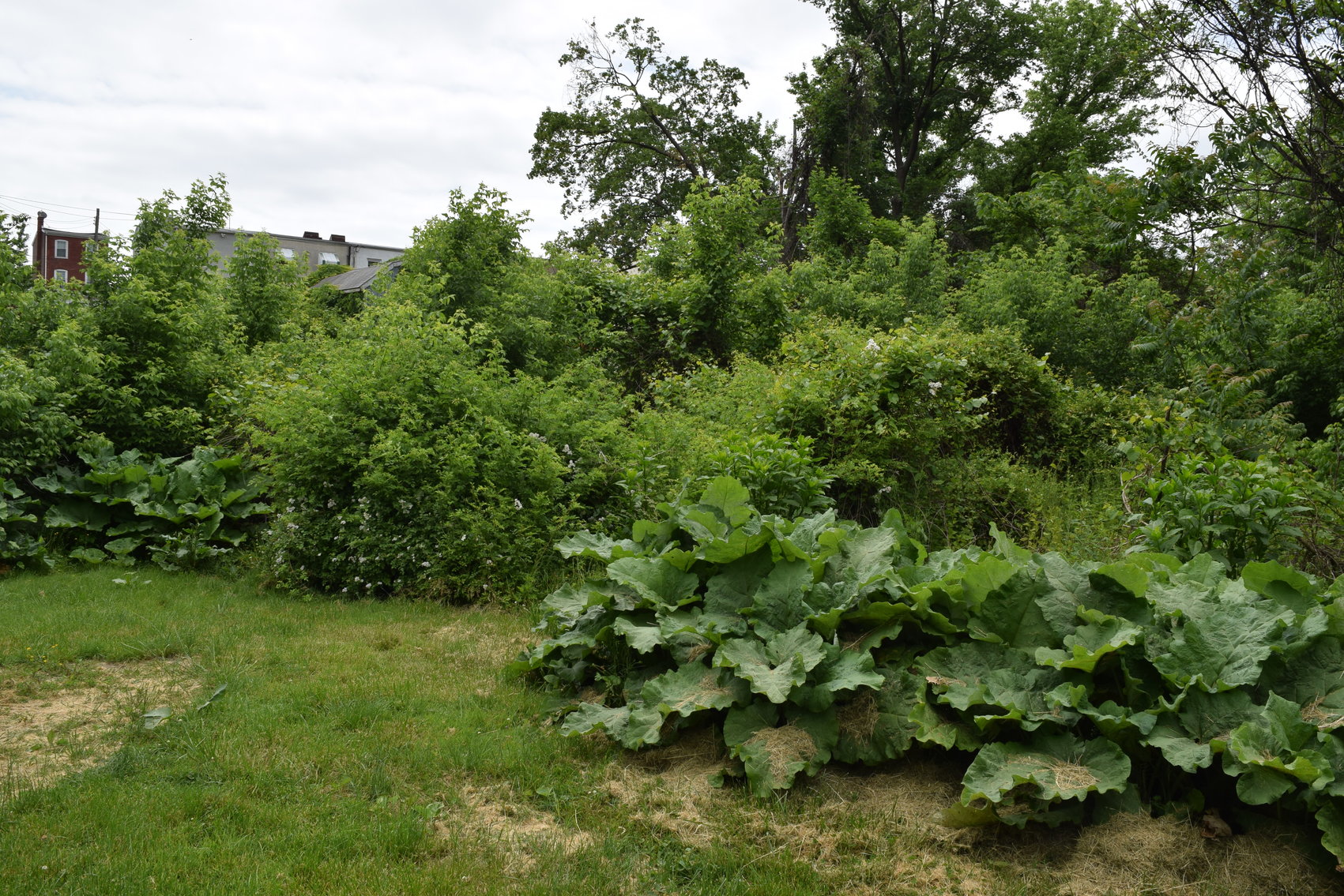 Image for Open House for Multi-Parcel Real Estate | Parcels 1, 2 and 3 | 714 Maple St., Conshohocken, PA 19428