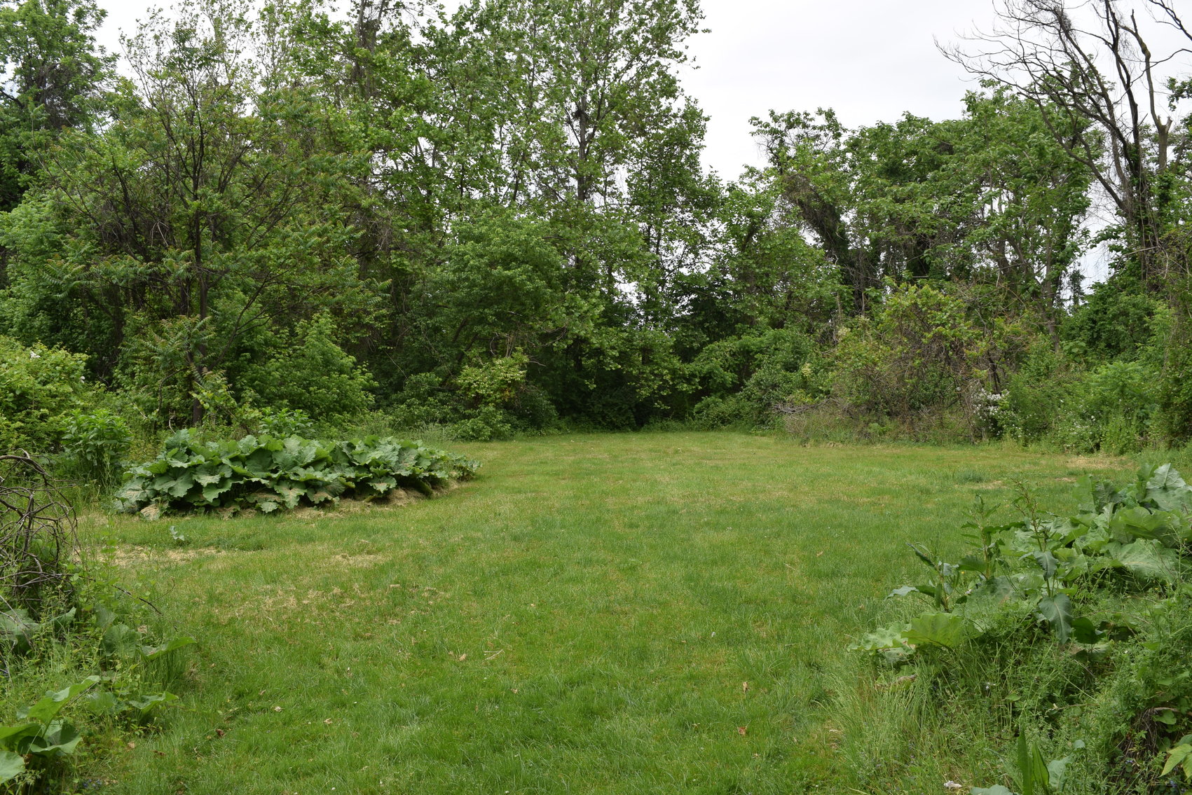 Image for Open House for Multi-Parcel Real Estate | Parcels 1, 2 and 3 | 714 Maple St., Conshohocken, PA 19428