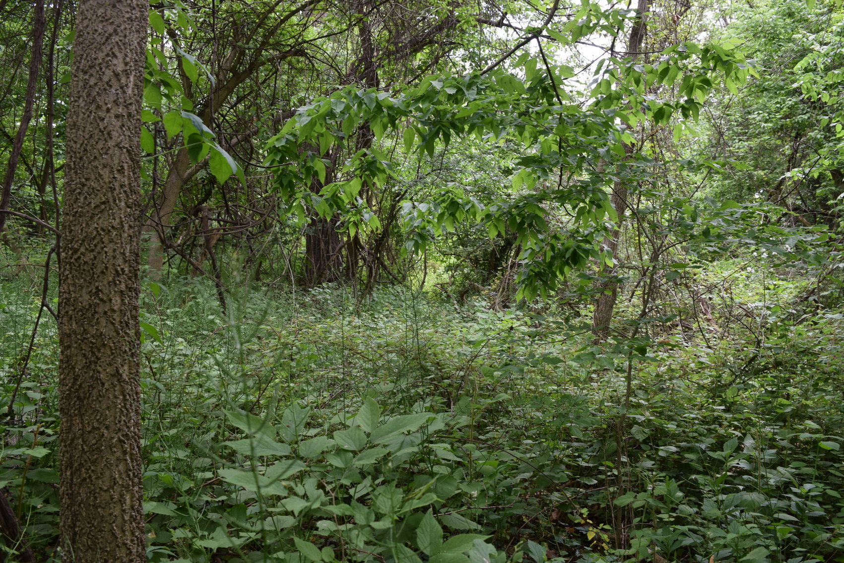 Image for Open House for Multi-Parcel Real Estate | Parcels 1, 2 and 3 | 714 Maple St., Conshohocken, PA 19428