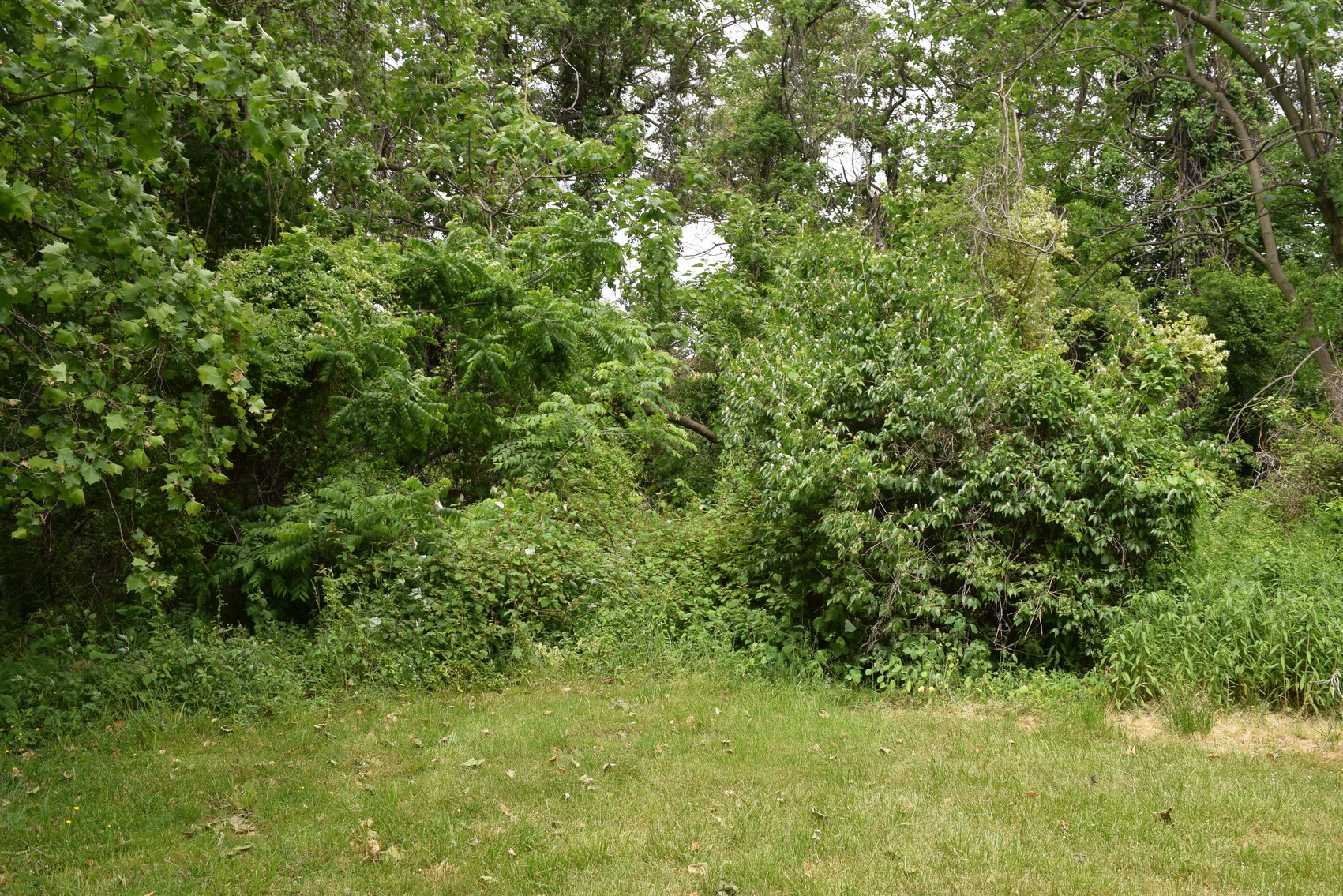 Image for Open House for Multi-Parcel Real Estate | Parcels 1, 2 and 3 | 714 Maple St., Conshohocken, PA 19428