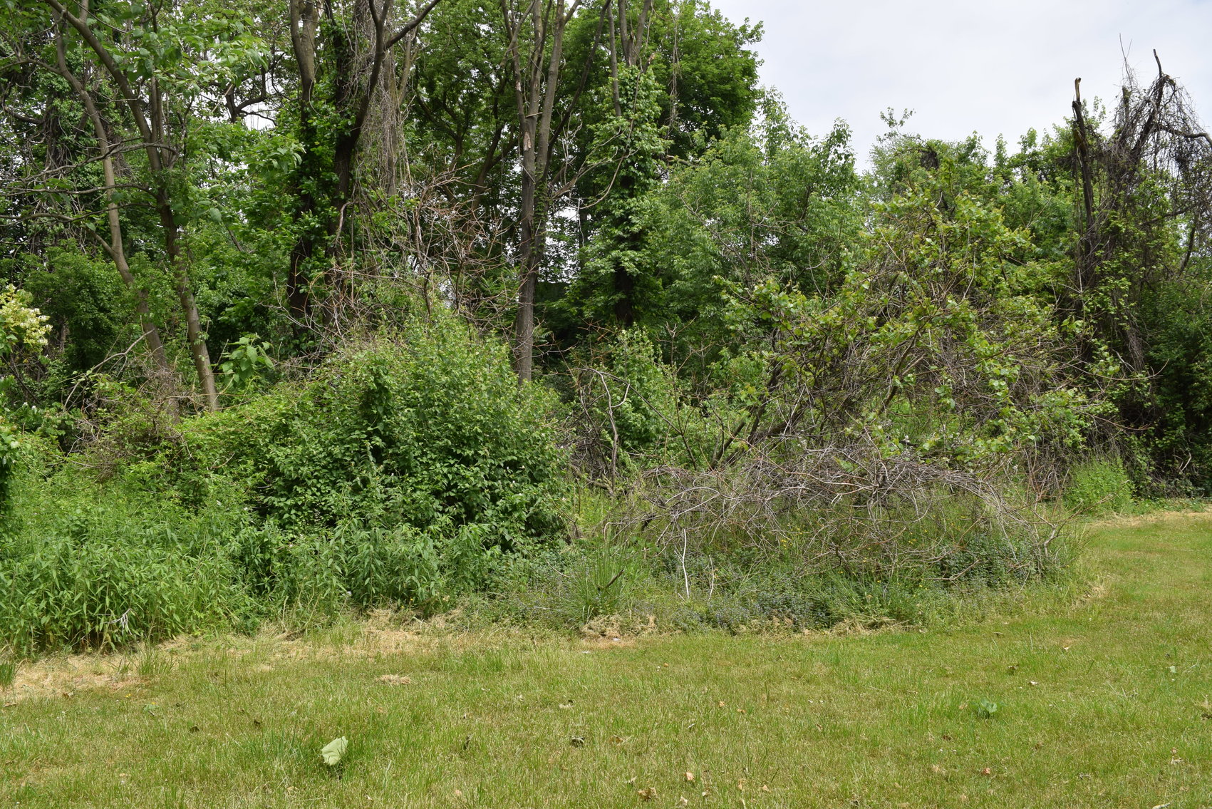 Image for Open House for Multi-Parcel Real Estate | Parcels 1, 2 and 3 | 714 Maple St., Conshohocken, PA 19428