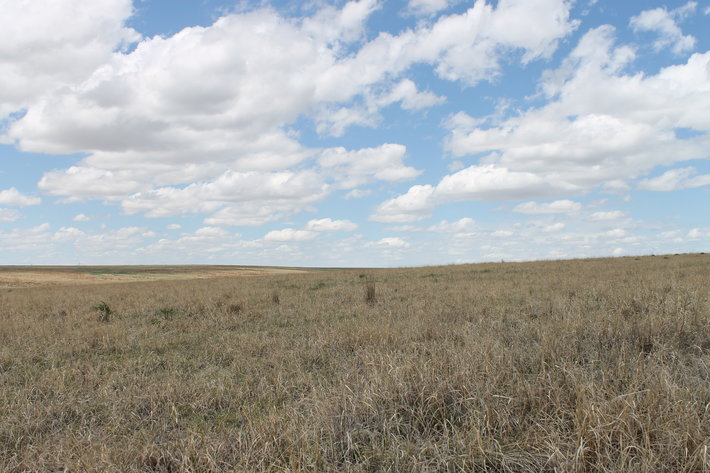 Image for CHEYENNE COUNTY, CO - CRP {C4064}