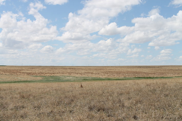 Image for CHEYENNE COUNTY, CO - CRP {C4064}