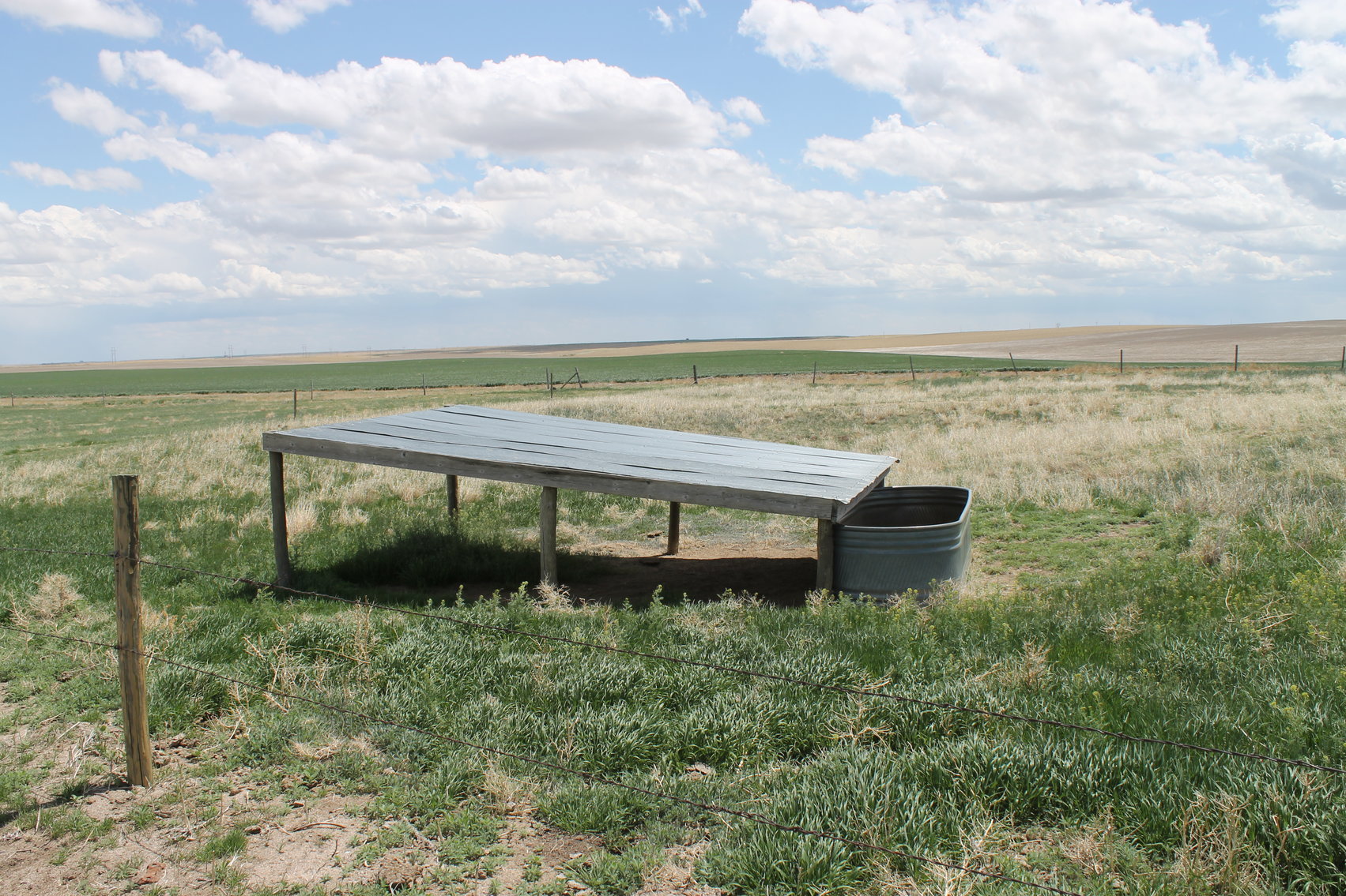 Image for CHEYENNE COUNTY, CO - CRP {C4064}