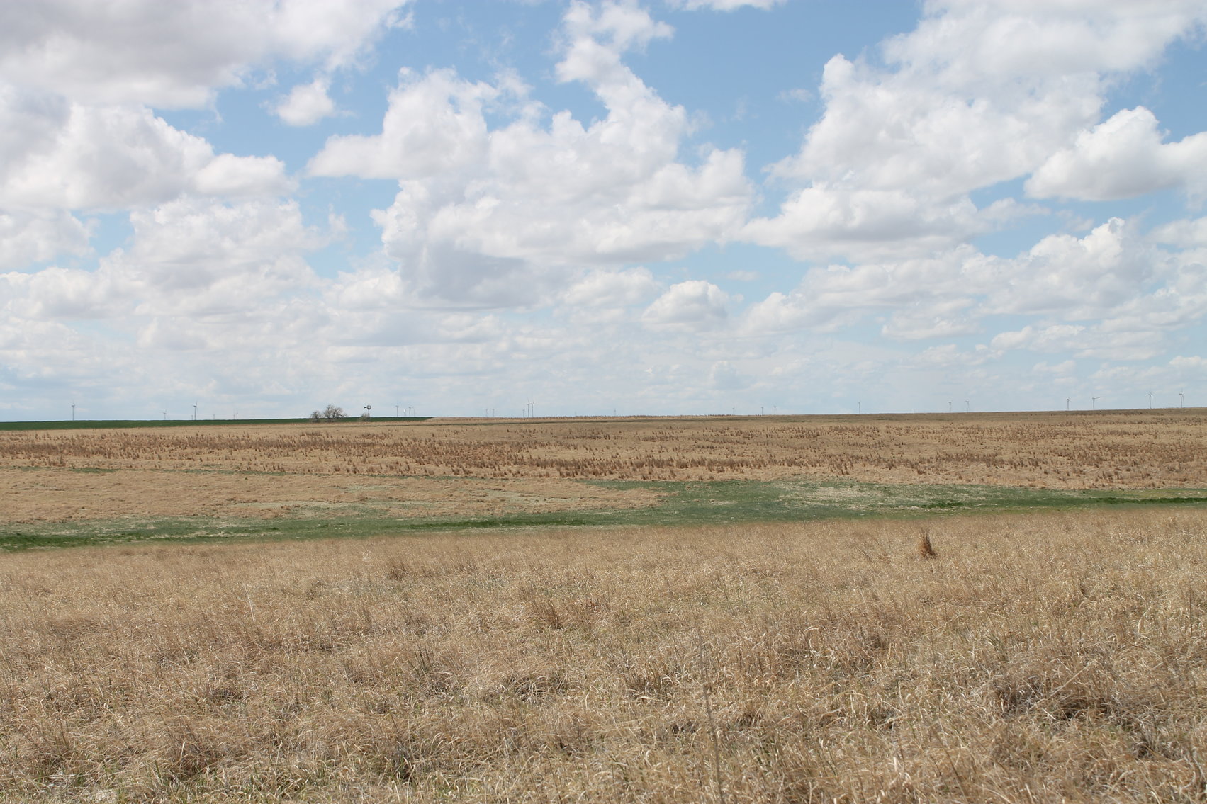 Image for CHEYENNE COUNTY, CO - CRP {C4064}