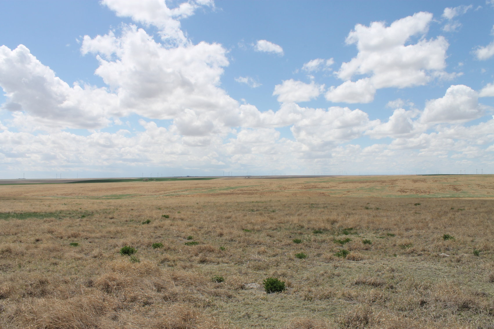 Image for CHEYENNE COUNTY, CO - CRP {C4064}