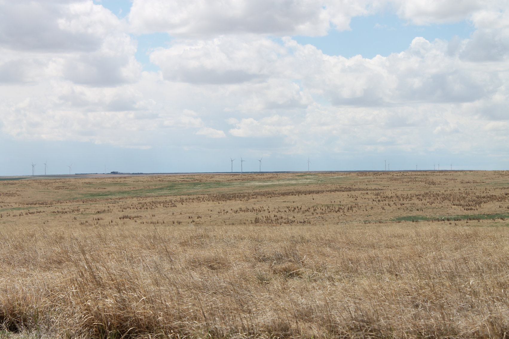 Image for CHEYENNE COUNTY, CO - CRP {C4064}