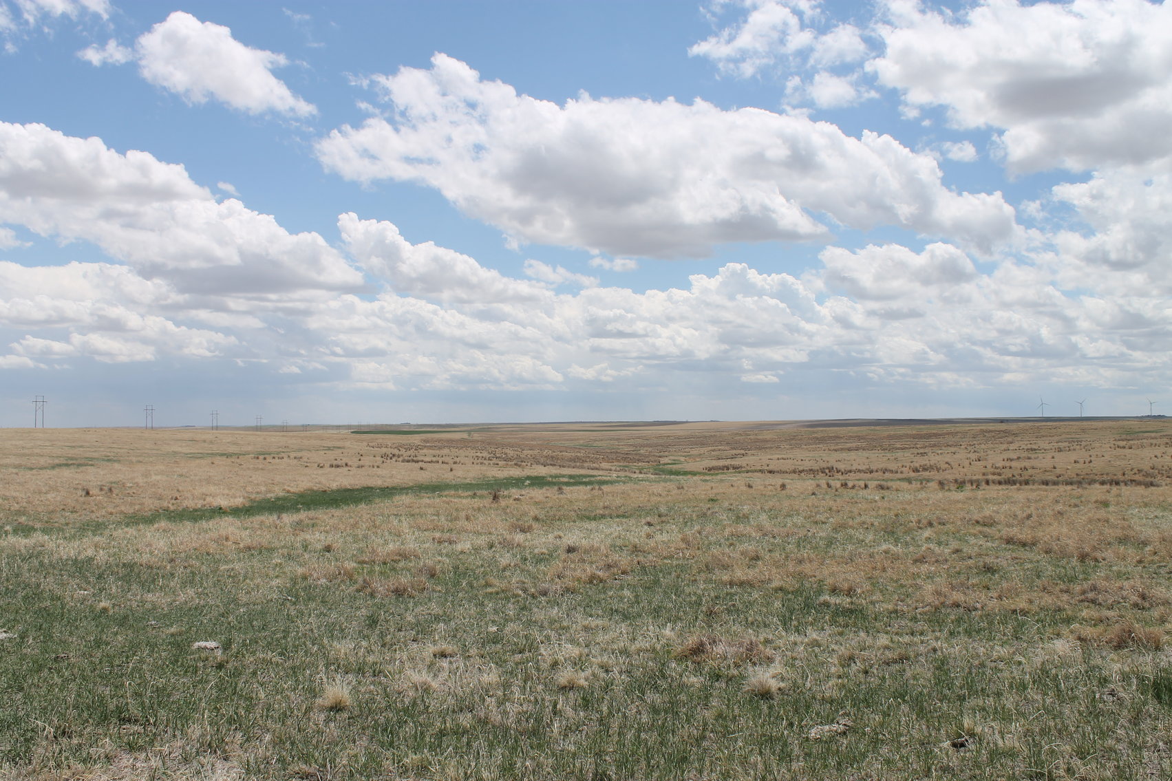 Image for CHEYENNE COUNTY, CO - CRP {C4064}