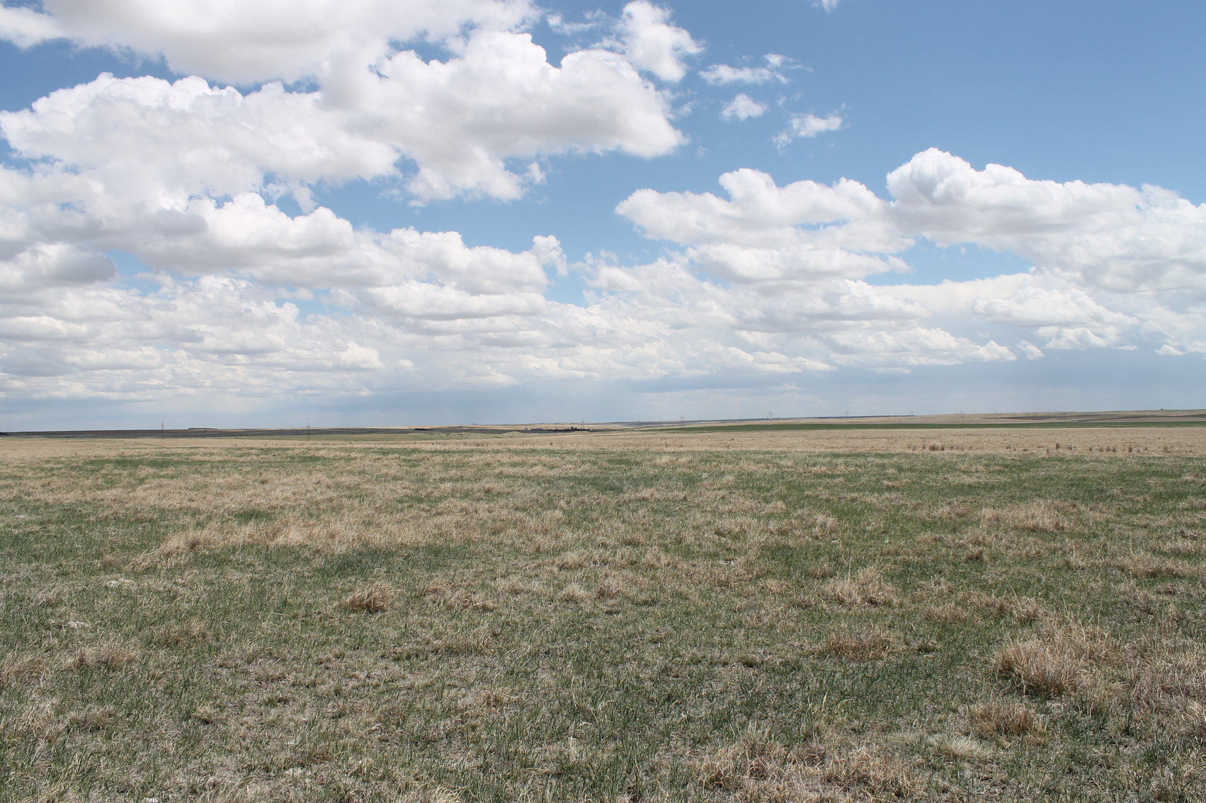 Image for CHEYENNE COUNTY, CO - CRP {C4064}