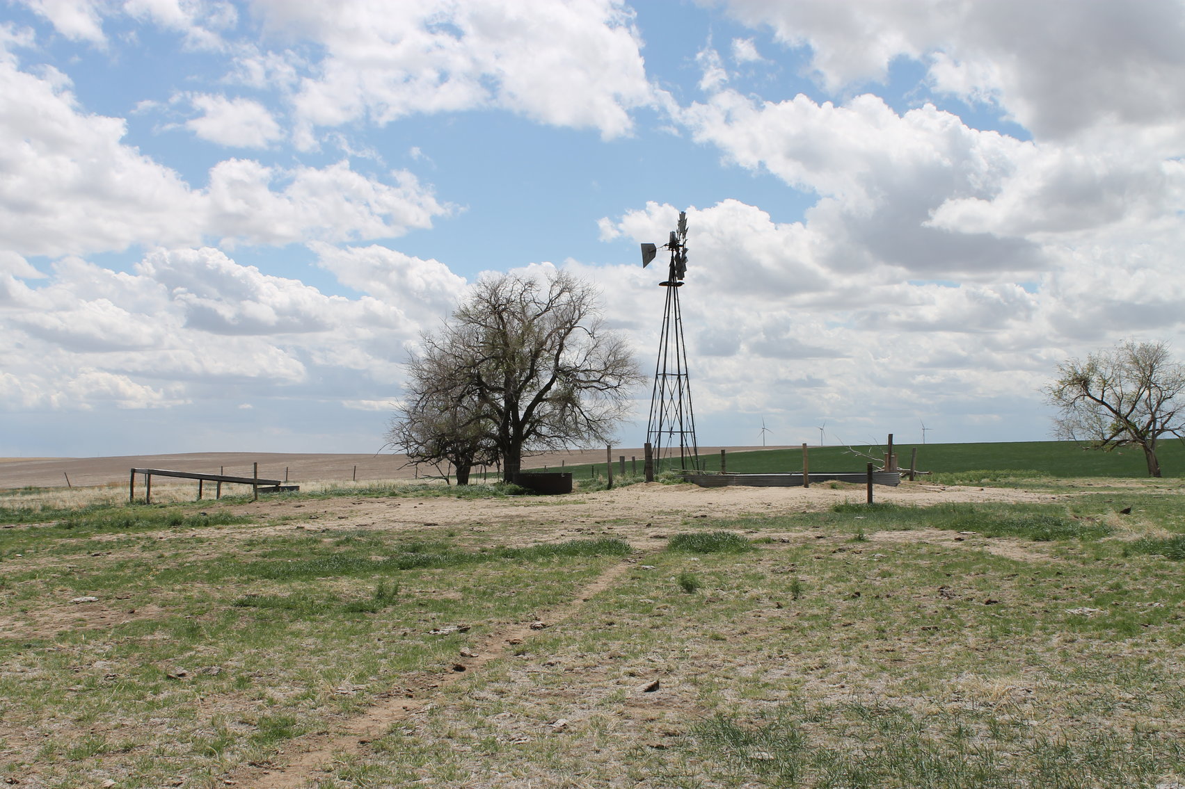 Image for CHEYENNE COUNTY, CO - CRP {C4064}