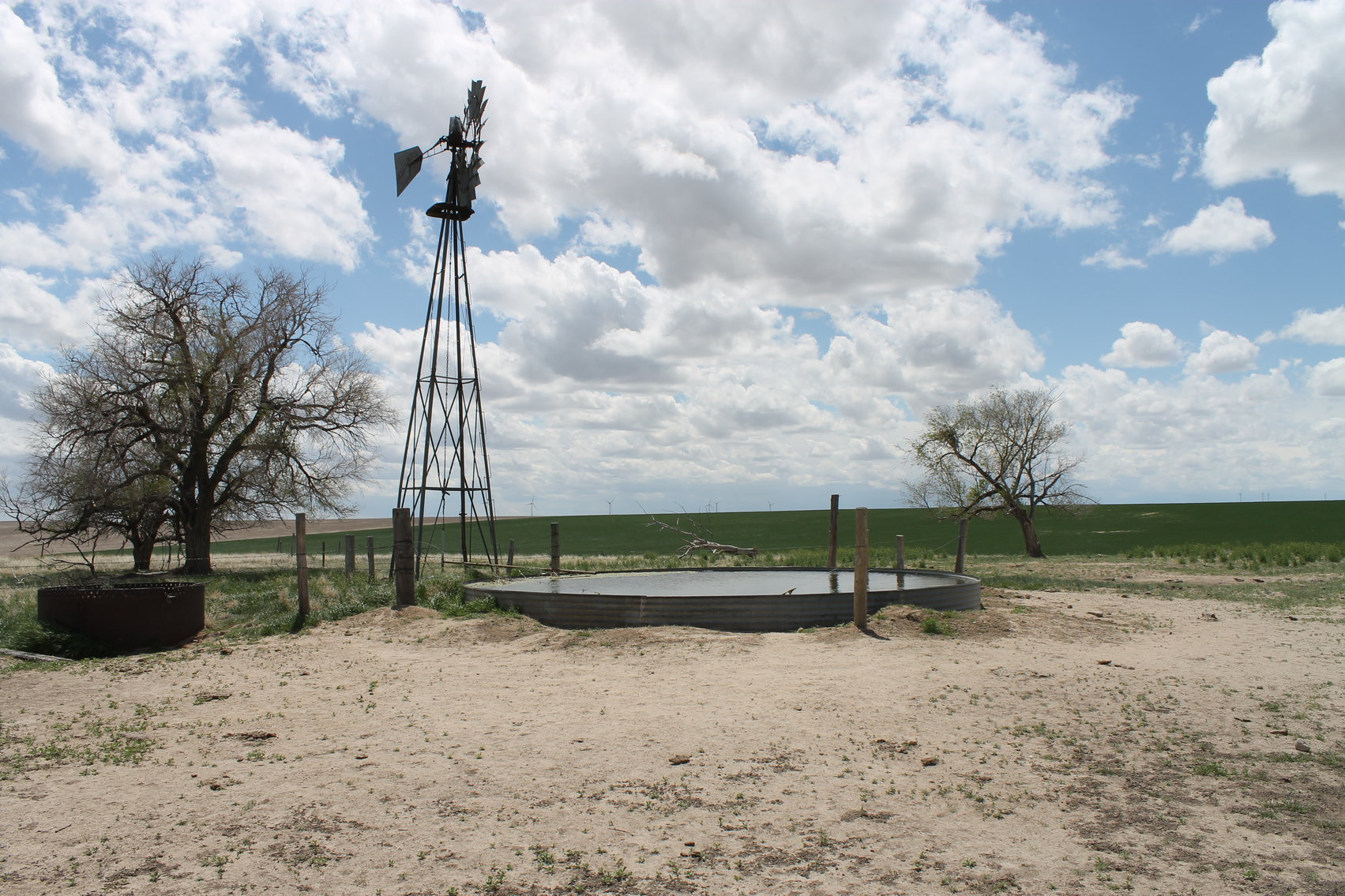Image for CHEYENNE COUNTY, CO - CRP {C4064}