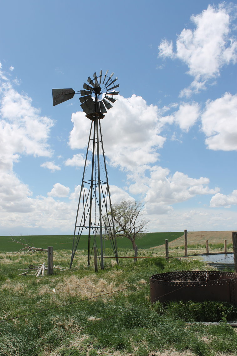 Image for CHEYENNE COUNTY, CO - CRP {C4064}