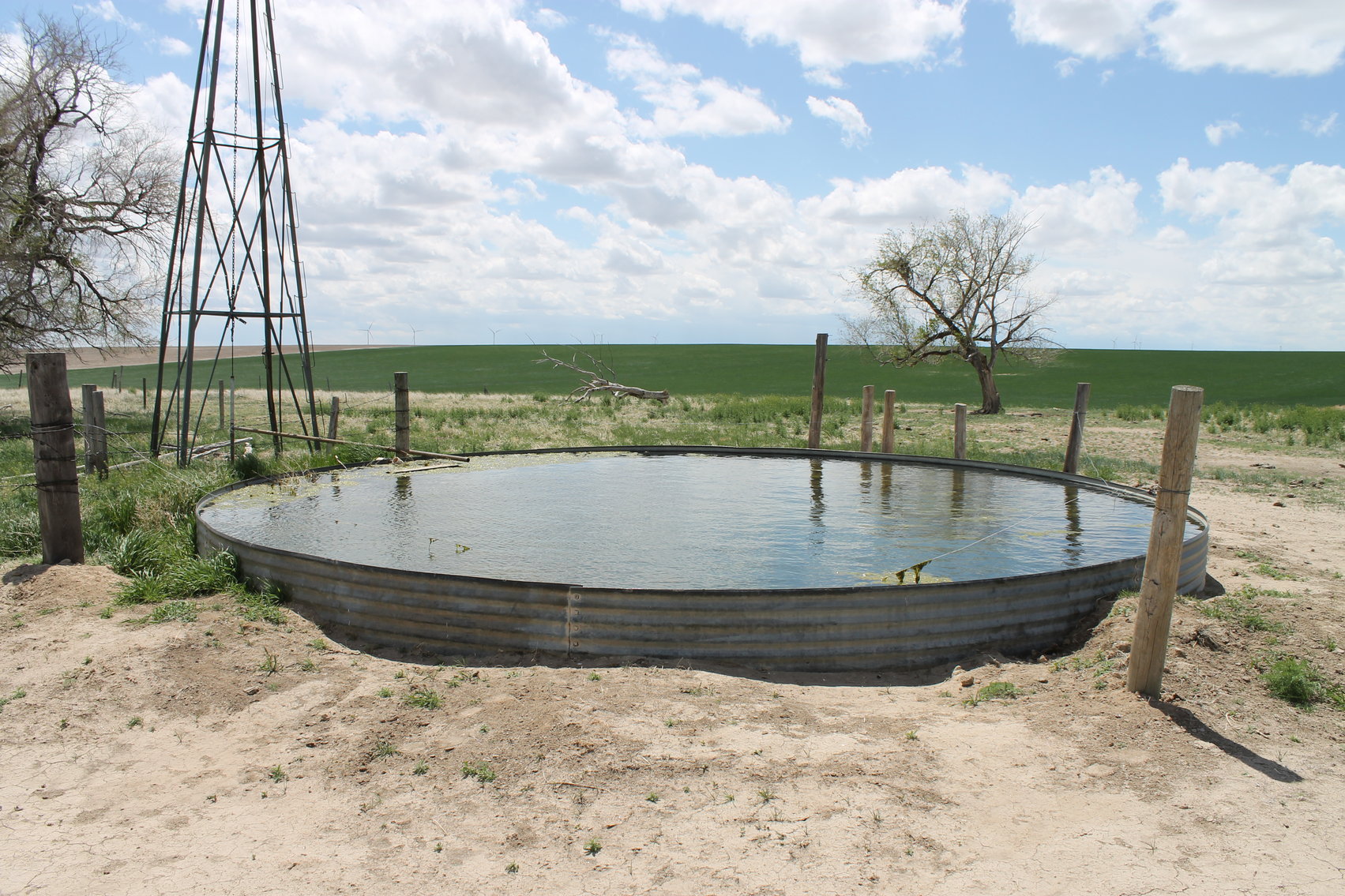 Image for CHEYENNE COUNTY, CO - CRP {C4064}