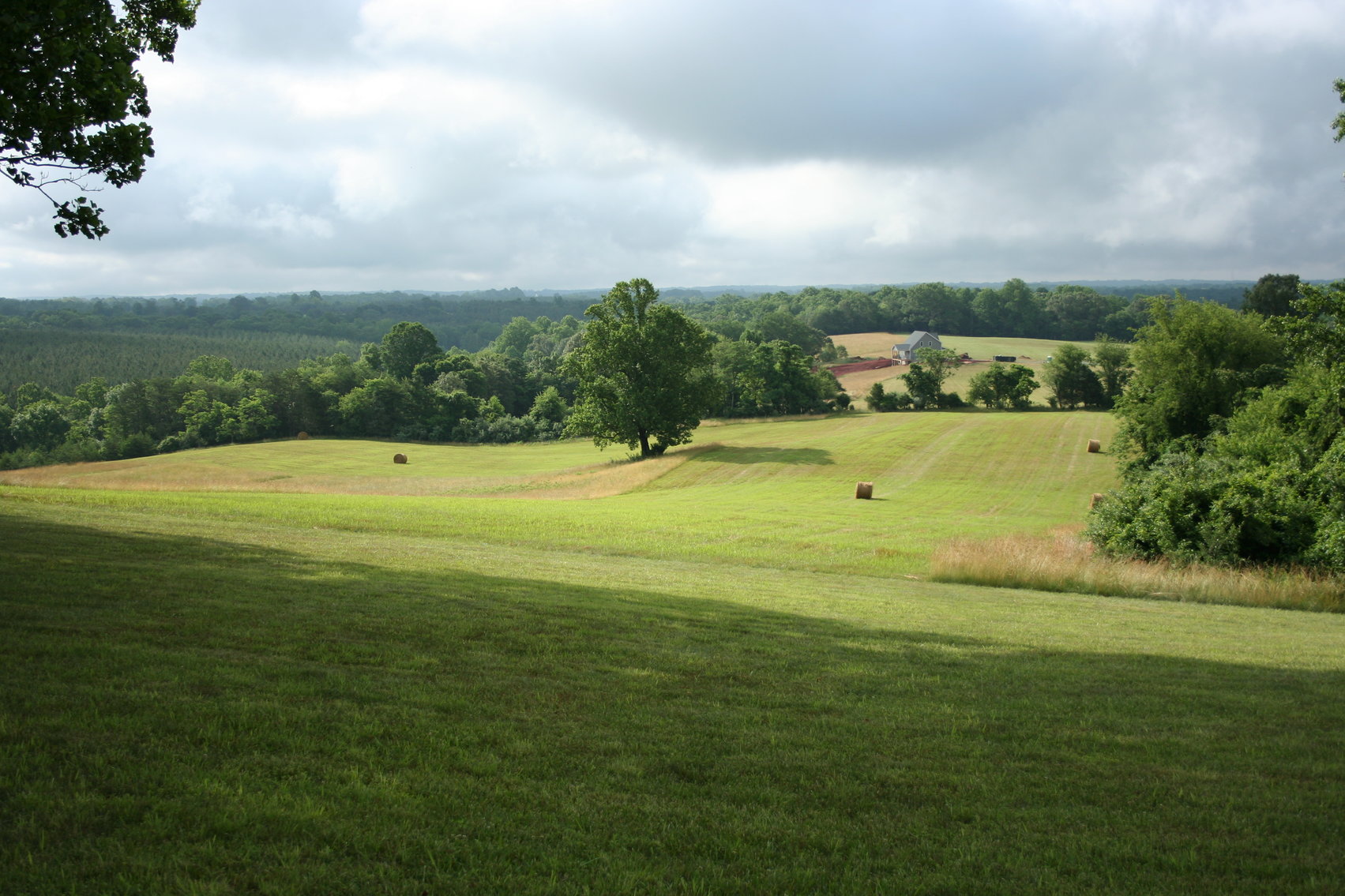 Image for HUGHES ESTATE AUCTION