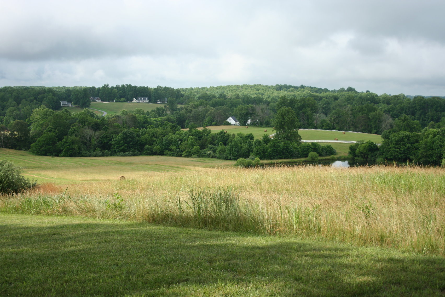 HUGHES ESTATE AUCTION