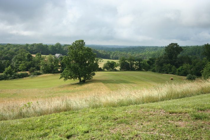 Image for HUGHES ESTATE AUCTION