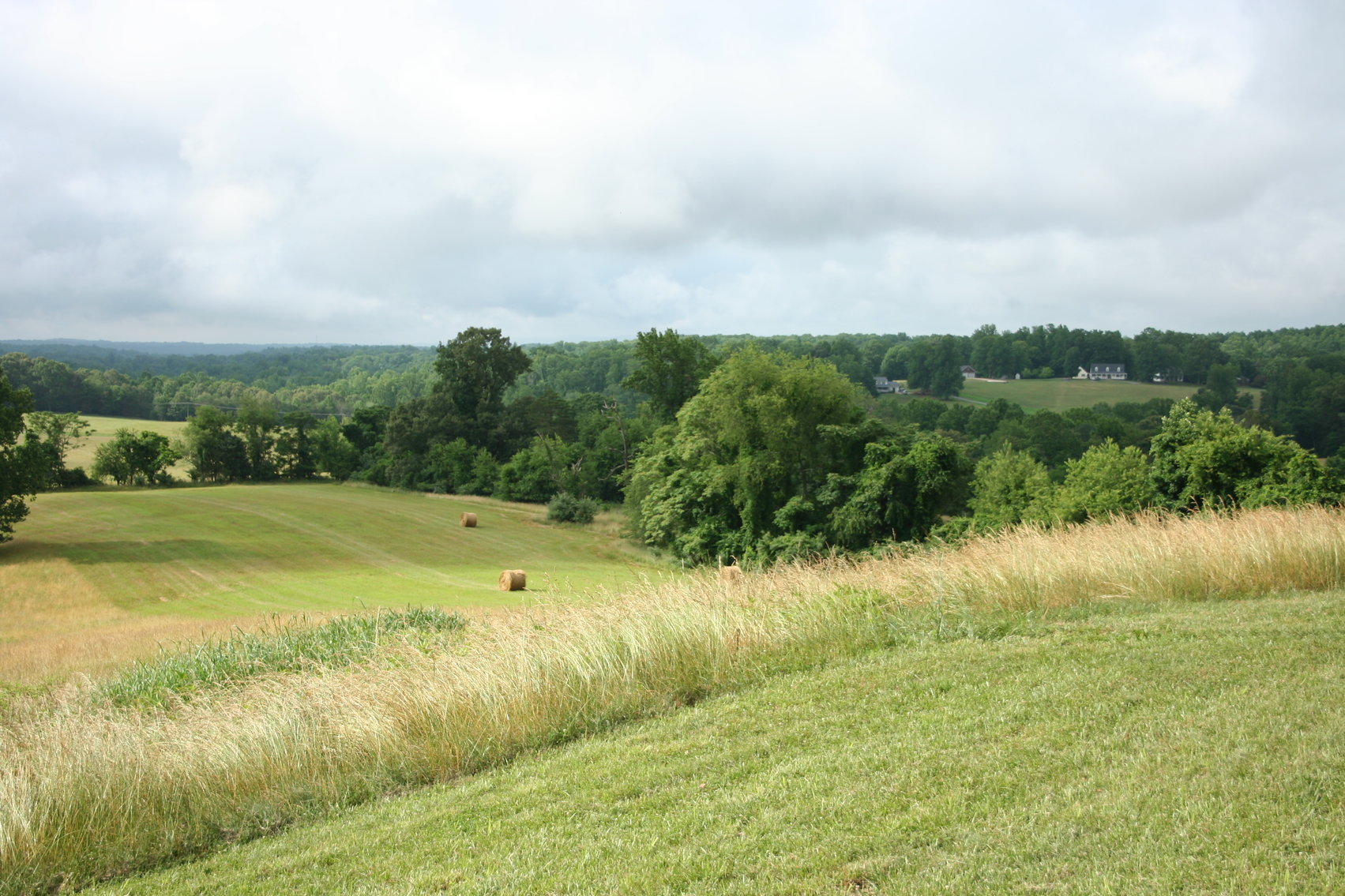 Image for HUGHES ESTATE AUCTION