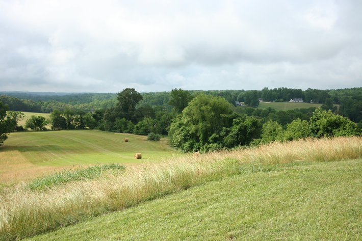 Image for HUGHES ESTATE AUCTION