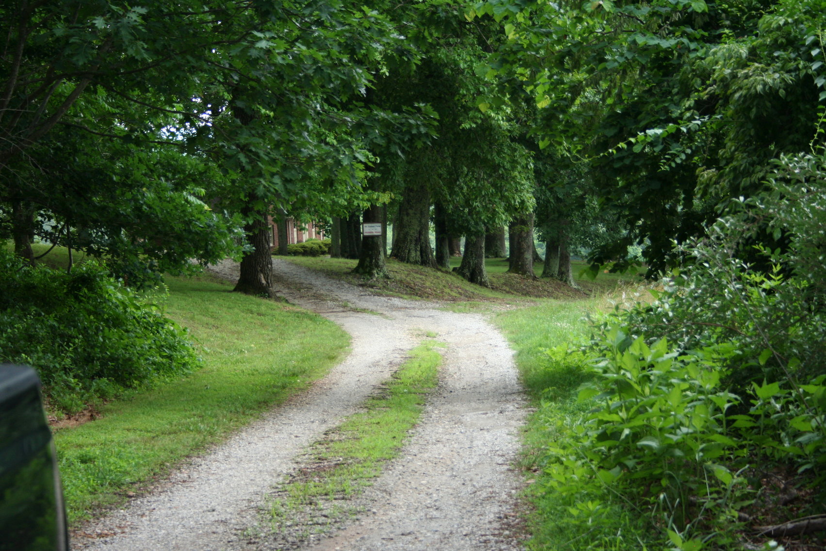 Image for HUGHES ESTATE AUCTION