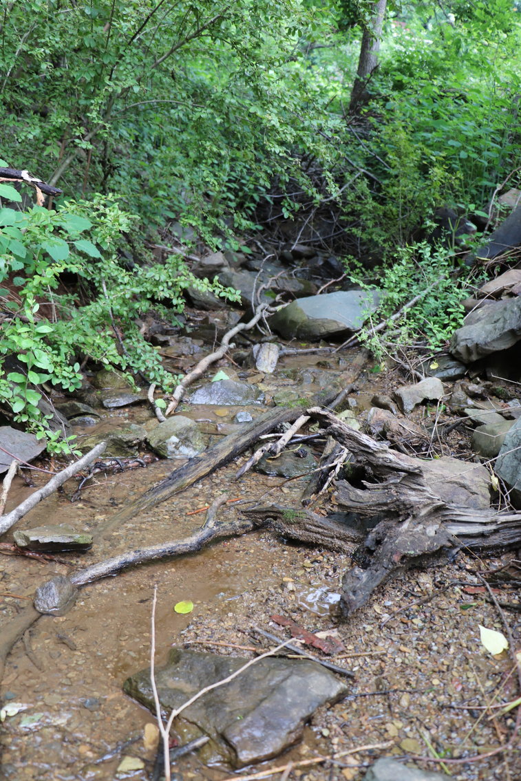 Image for Two Bedroom Home on 3.58 +/- Acres With Beautiful Views In Historic Afton VA