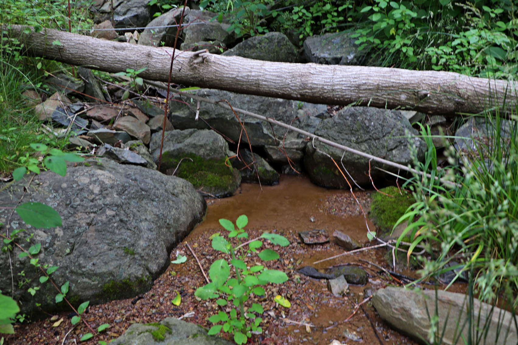 Image for Two Bedroom Home on 3.58 +/- Acres With Beautiful Views In Historic Afton VA