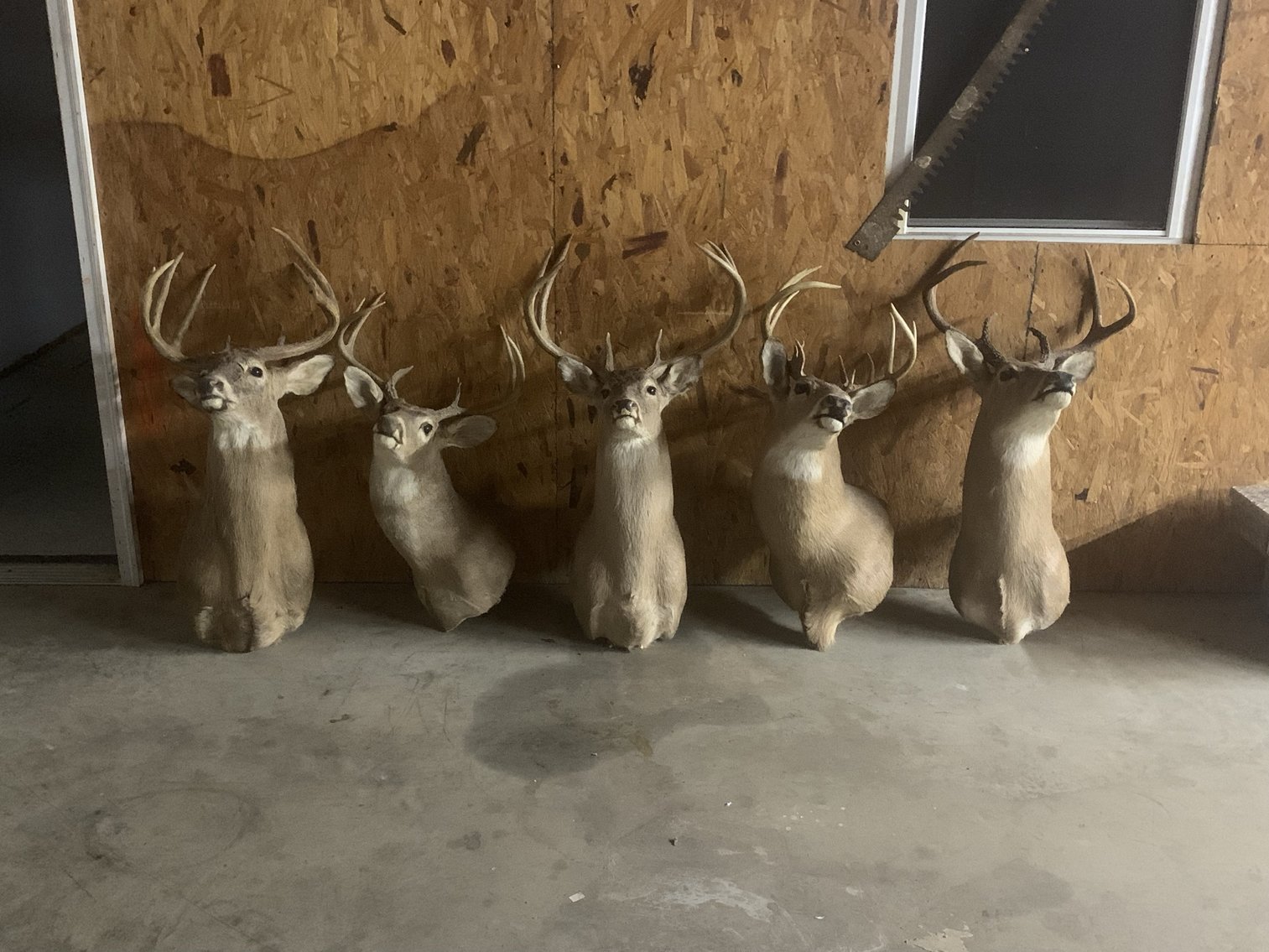 Image for 6069 Nashville Hwy, Chapel Hill