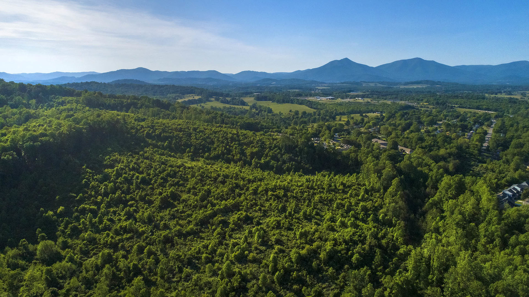 Image for 83.49 ACRES, BEDFORD COUNTY, VA