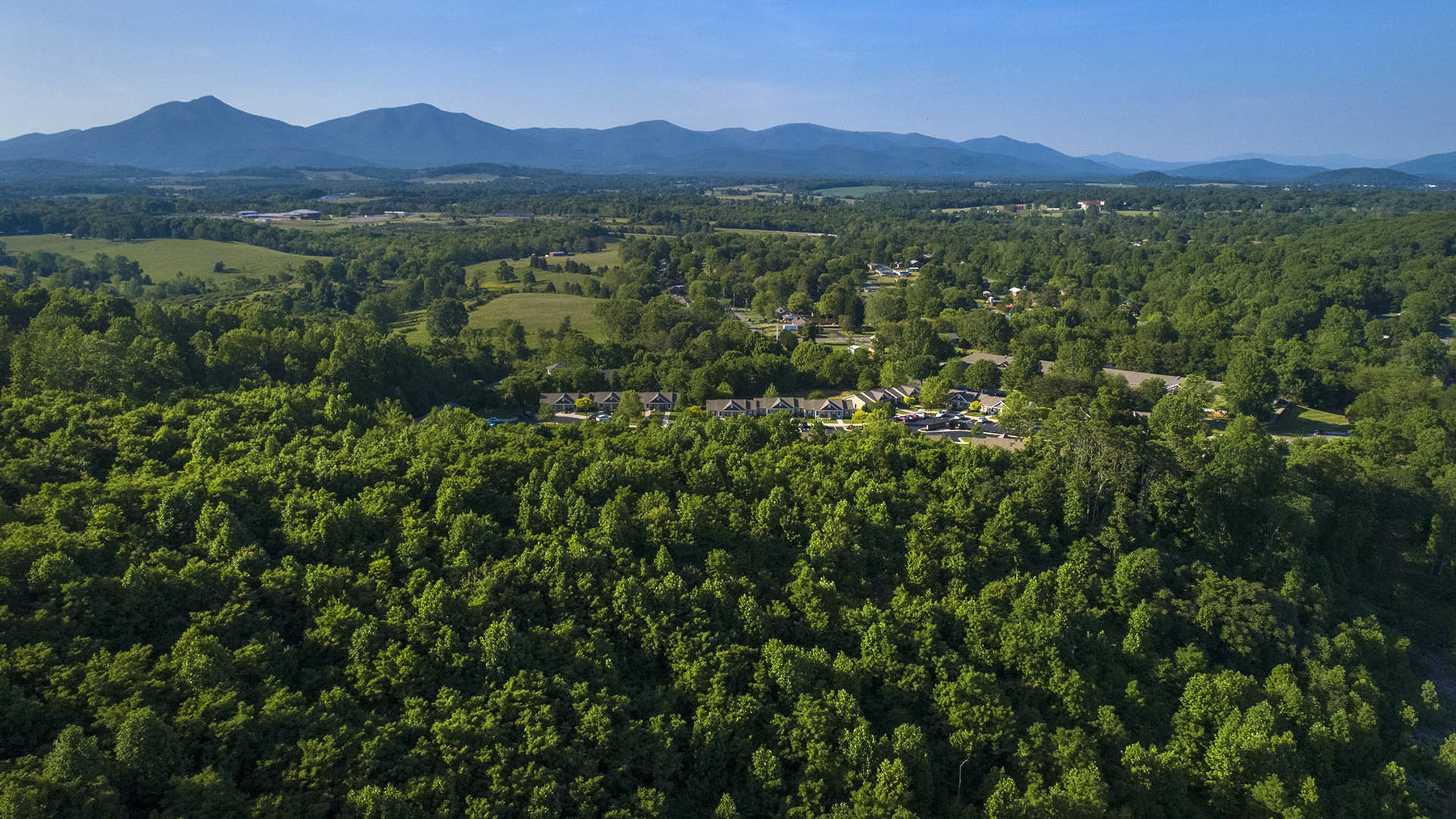 Image for 83.49 ACRES, BEDFORD COUNTY, VA