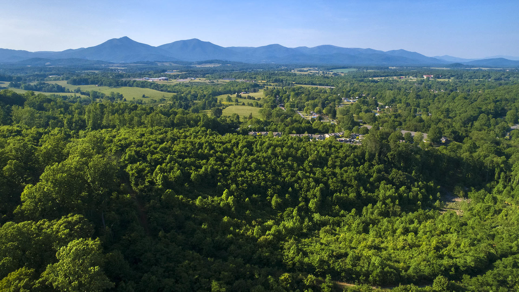 Image for 83.49 ACRES, BEDFORD COUNTY, VA