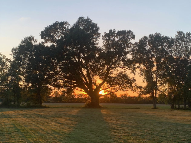 Image for 1333 Shoemaker Road, Eagleville