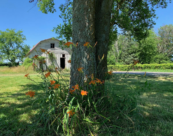 Image for 1333 Shoemaker Road, Eagleville