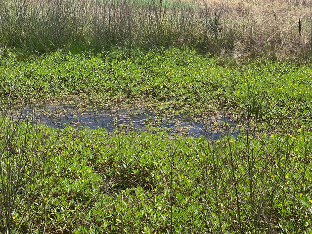 Image for 1333 Shoemaker Road, Eagleville