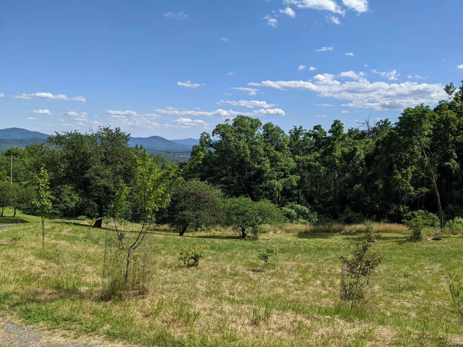 Image for Two Bedroom Home on 3.58 +/- Acres With Beautiful Views In Historic Afton VA