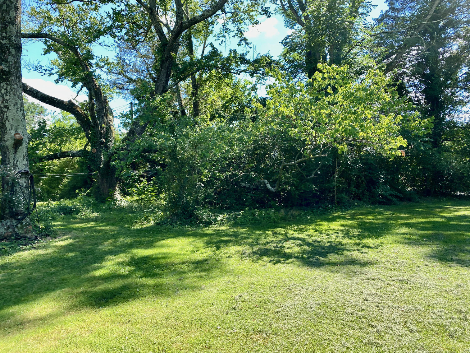 Image for 3 BR/2 BA Home on 2.4 +/- Acres in Orange County, VA