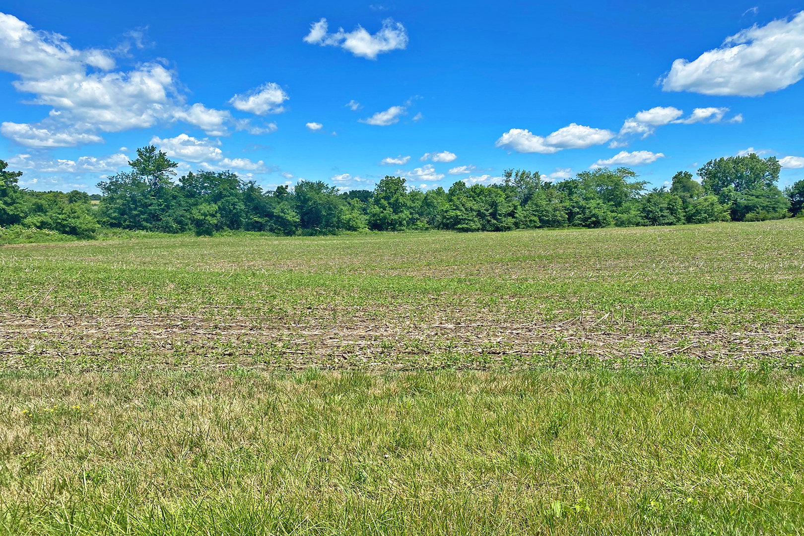 Image for Harrison County Public Land AUCTION: WEDNESDAY, JULY 28, 10:00 A.M.