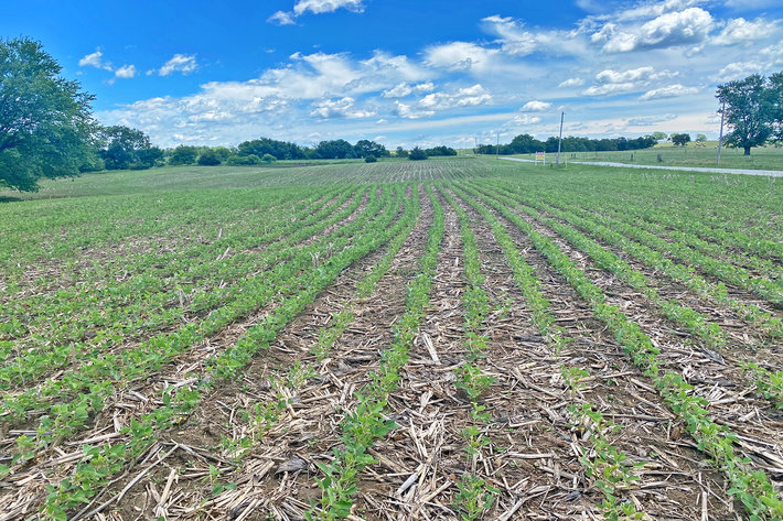 Image for Harrison County Public Land AUCTION: WEDNESDAY, JULY 28, 10:00 A.M.