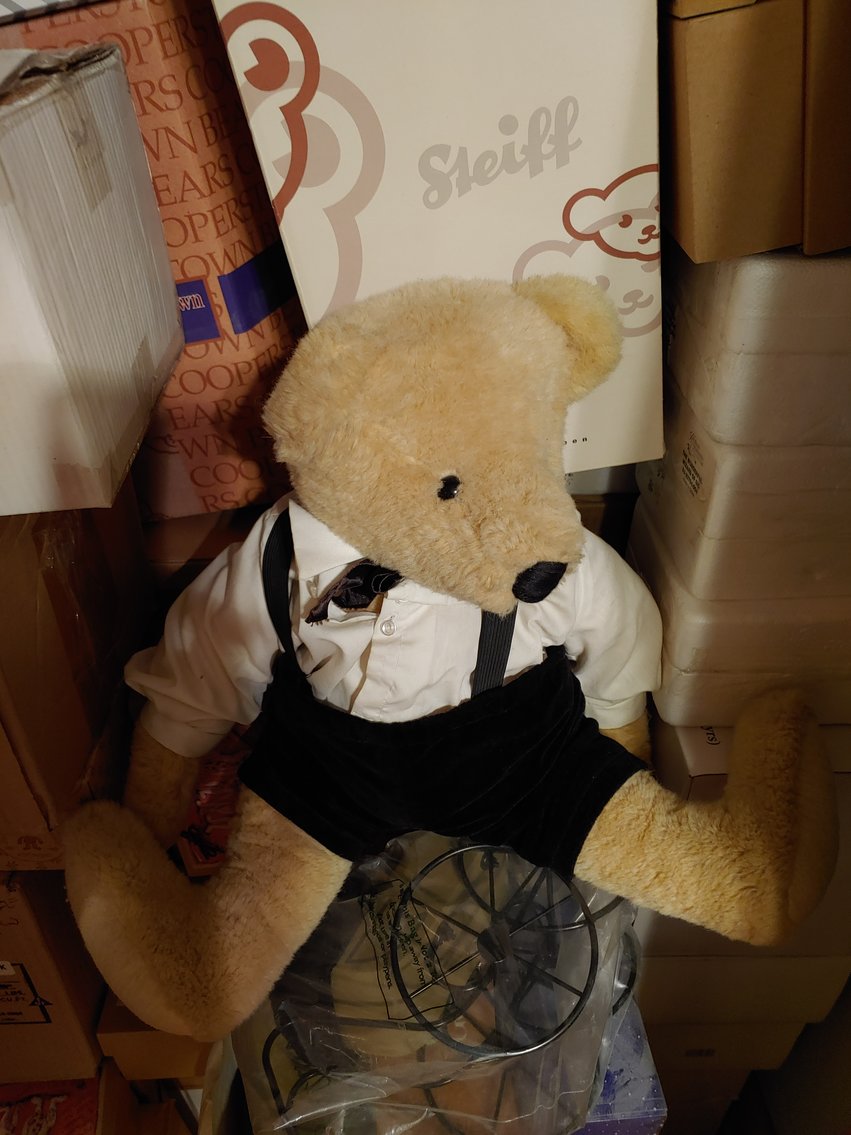 Image for 3 BR, 2 BA RANCH STYLE HOME ANTIQUE, MODERN & TOY SEWING MACHINES TONS OF CUSTOM & COSTUME JEWELRY LIKE NEW 2018 BUICK ENVISION LARGE TOY BEAR COLLECTION INCLUDING STEIFFS