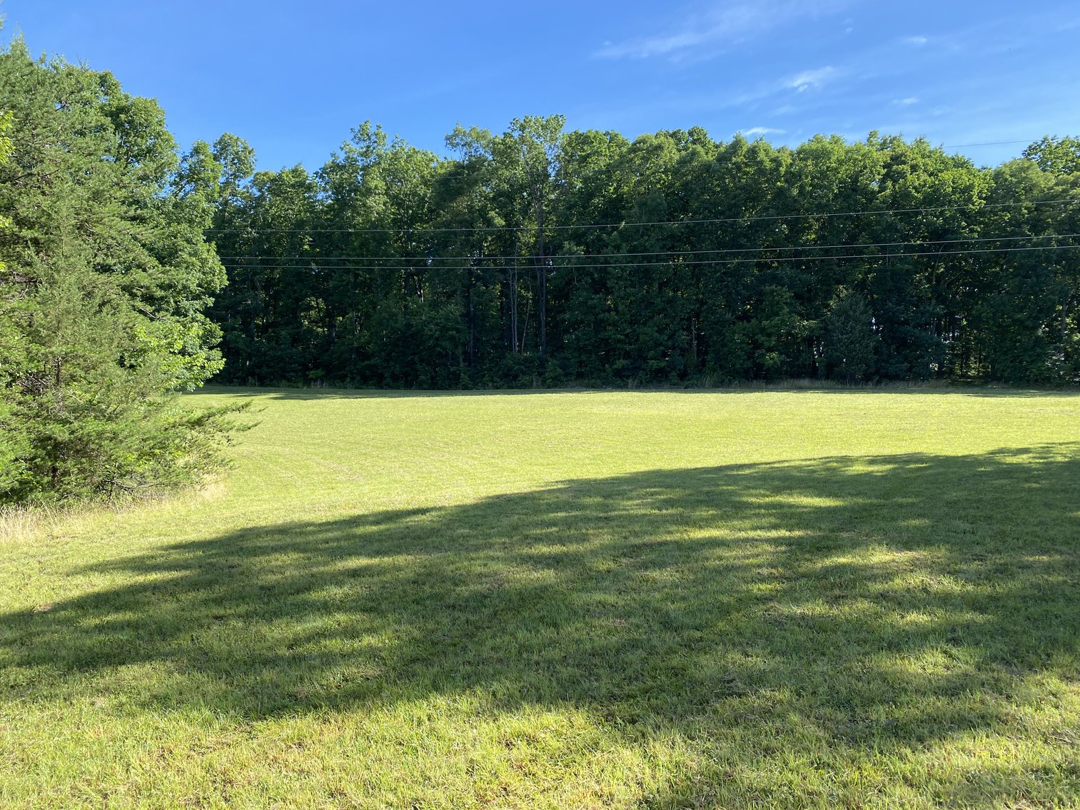 Image for 4 BR/4 BA Home on 29.1 +/- Acres in Orange County, VA--SELLS to the HIGHEST BIDDER!!