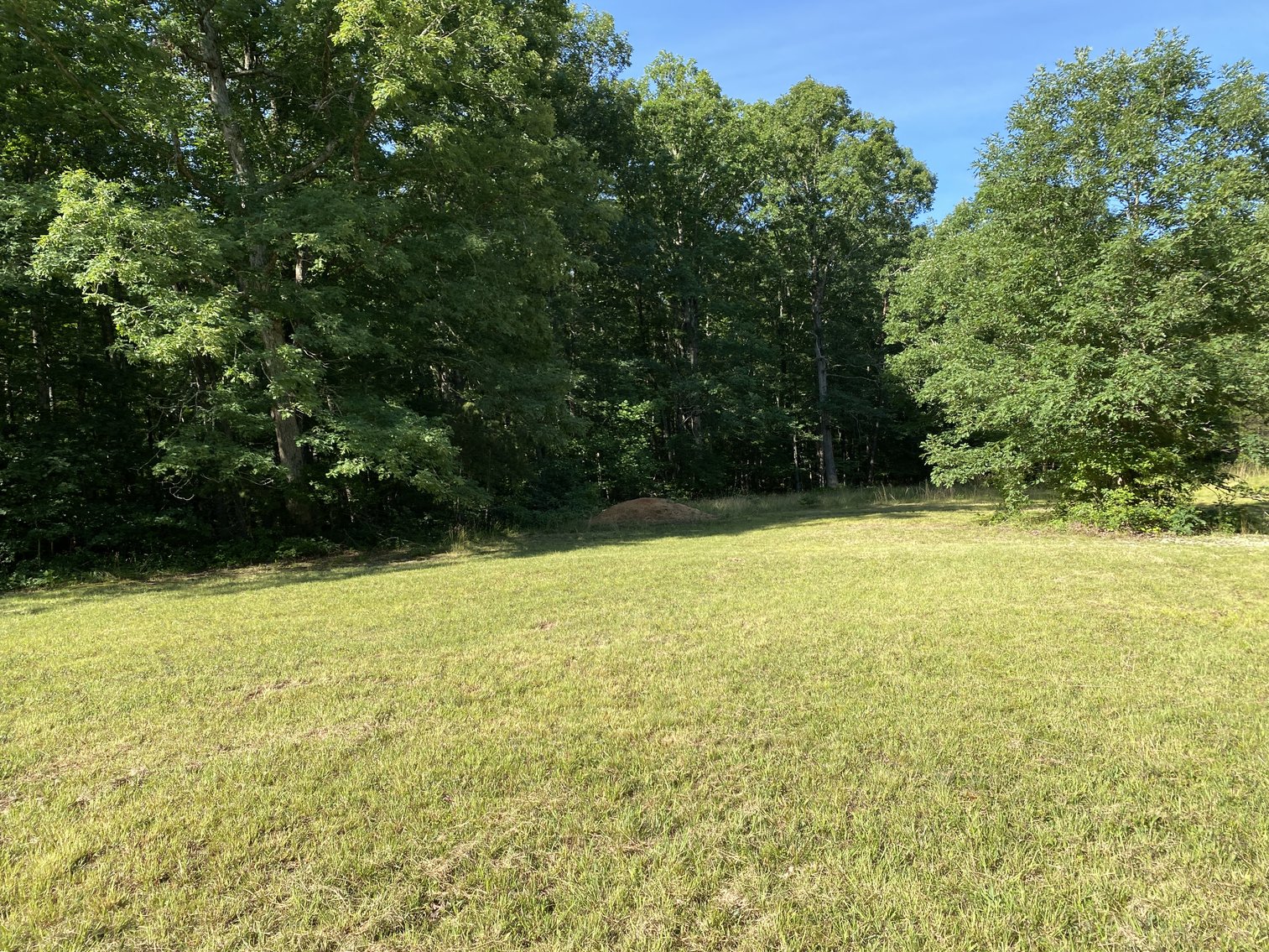 Image for 4 BR/4 BA Home on 29.1 +/- Acres in Orange County, VA--SELLS to the HIGHEST BIDDER!!