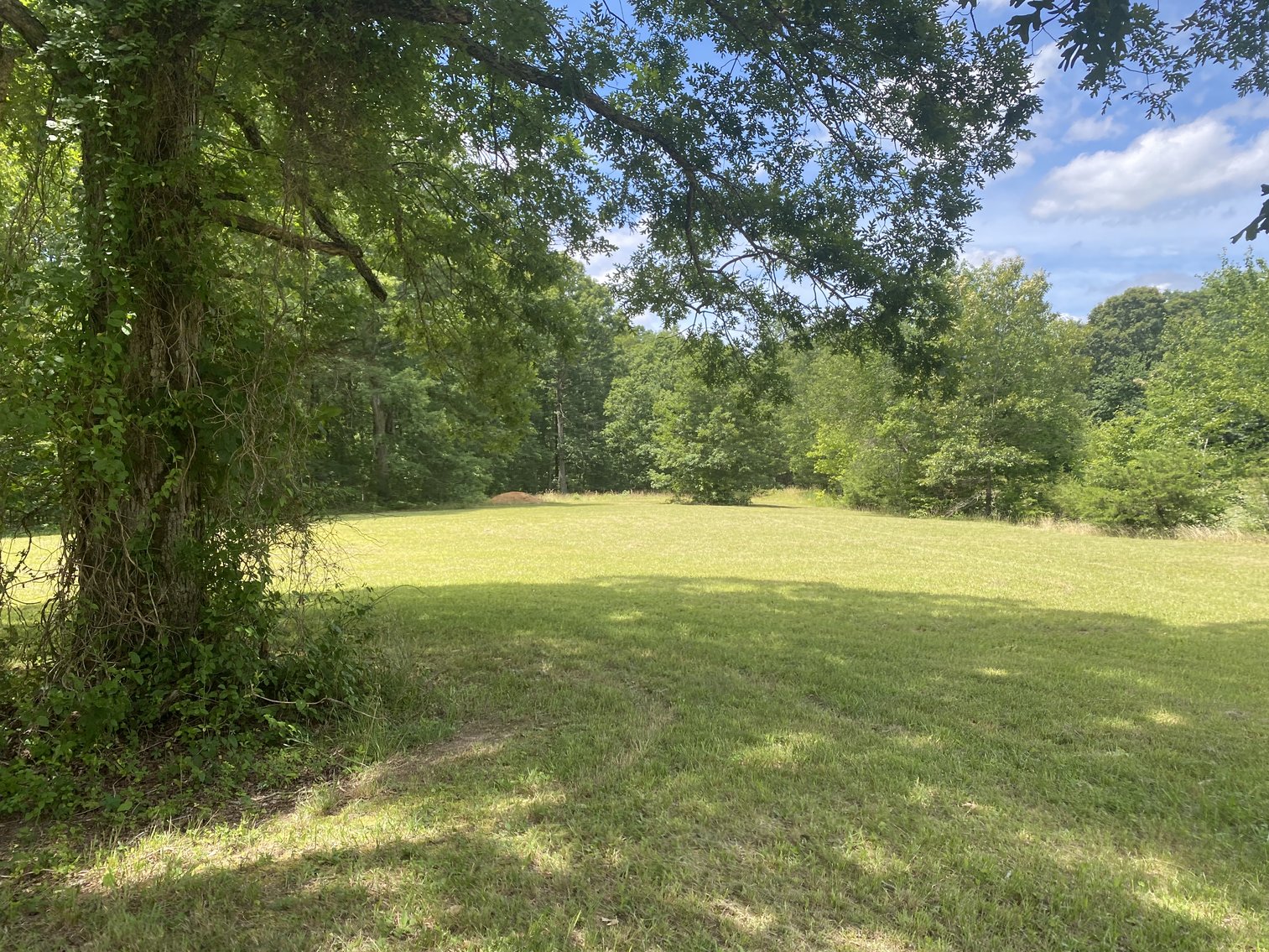 Image for 4 BR/4 BA Home on 29.1 +/- Acres in Orange County, VA--SELLS to the HIGHEST BIDDER!!